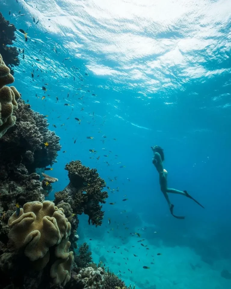 5 Full Days on Hamilton Island: Best Snorkel Spots From Shore