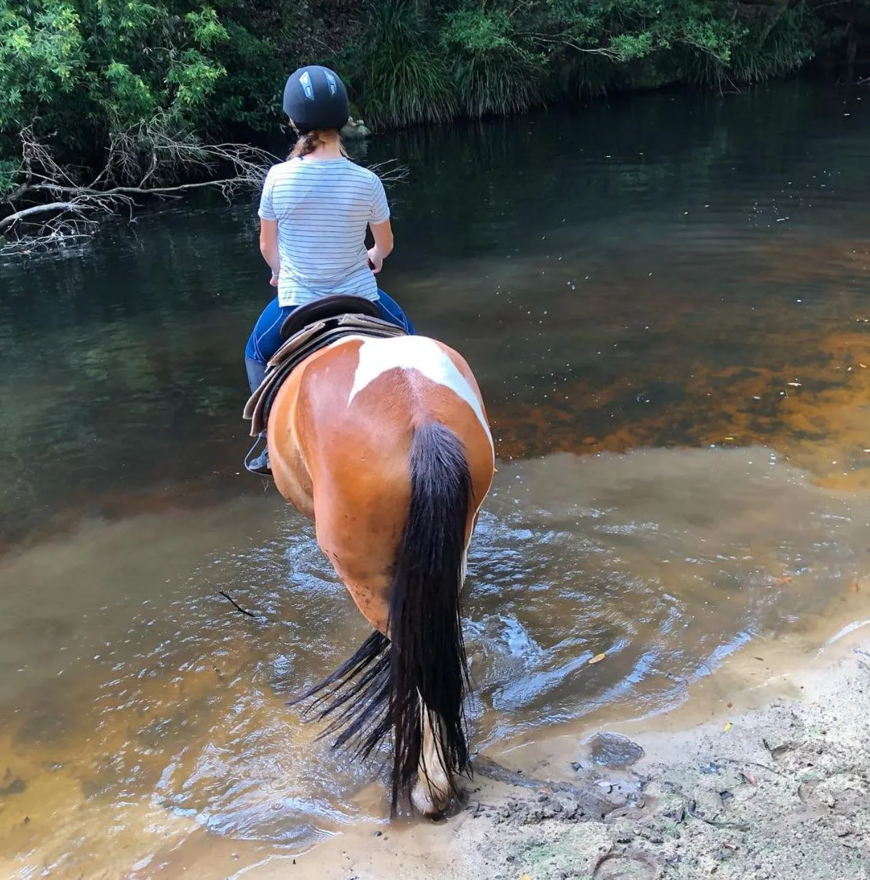 Glenworth Valley Outdoor Adventures