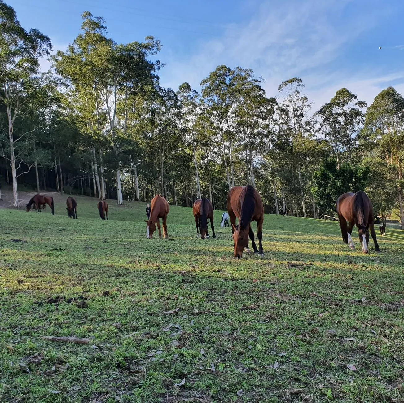 Paul's Local Pick, A Weekend in the Saddle