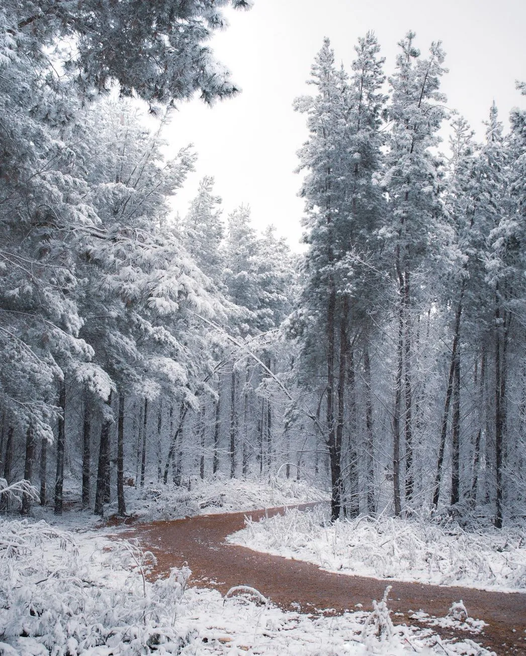 Route Planning, Safer Ways to Explore