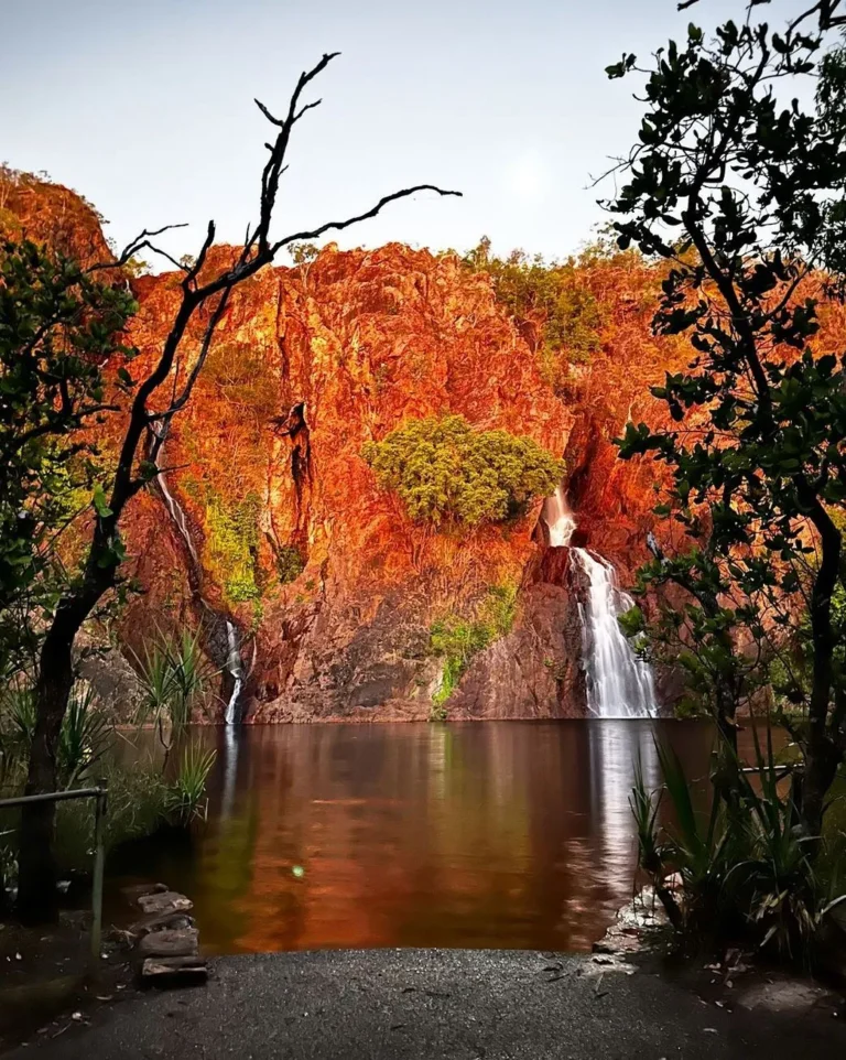 Seasonal Changes in Litchfield National Park: A Year-Round Guide