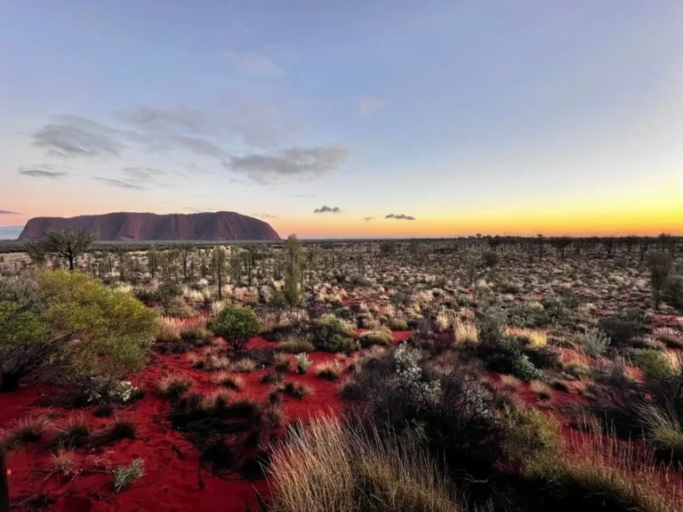 Talinguru Nyakunytjaku Lookout: A Majestic View of Uluru and Kata Tjuta