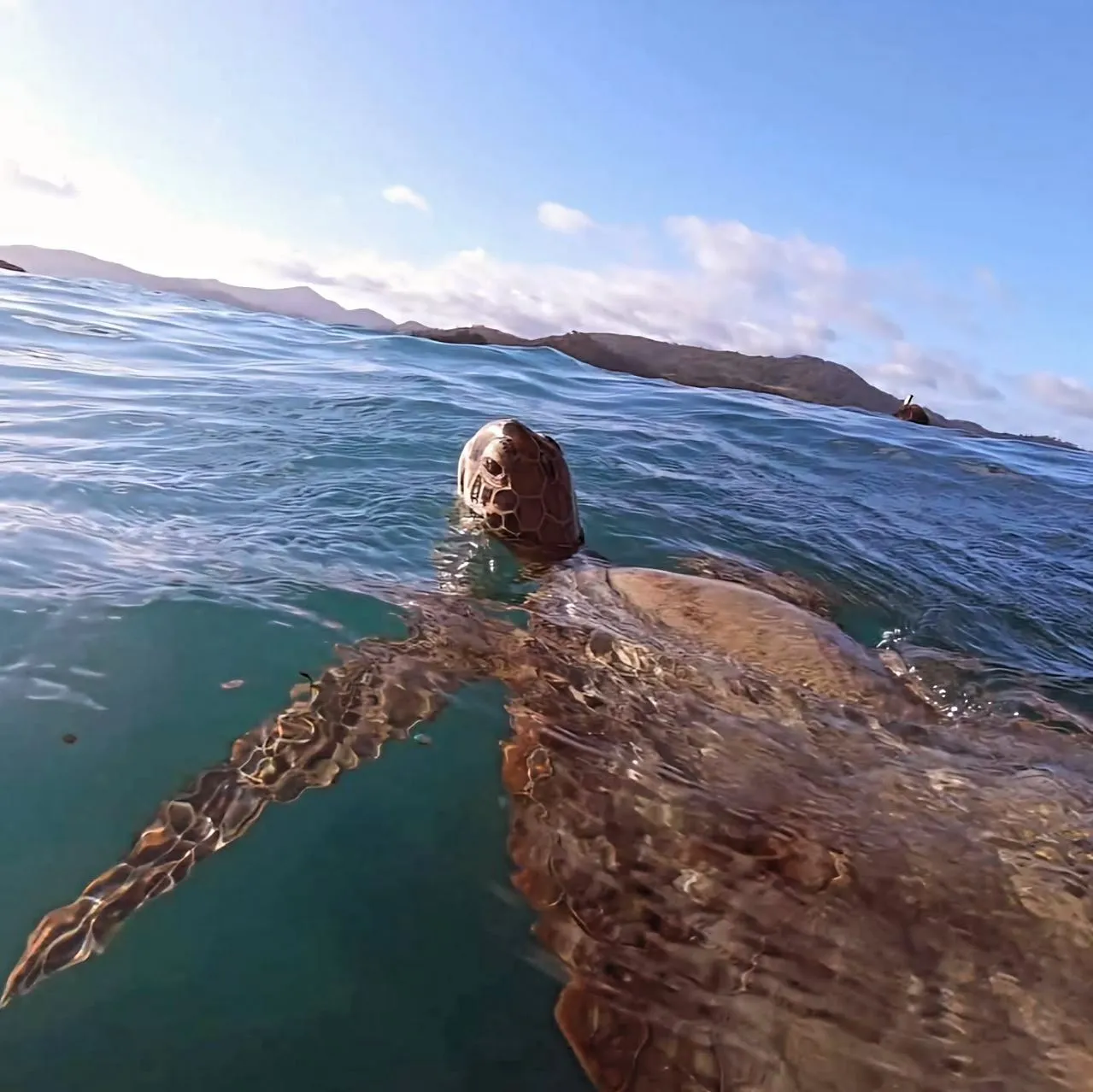 Understanding the Tides and Conditions