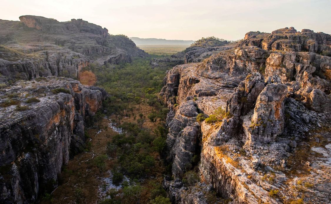 Discover the Wonders of Kakadu on a Day Trip from Darwin