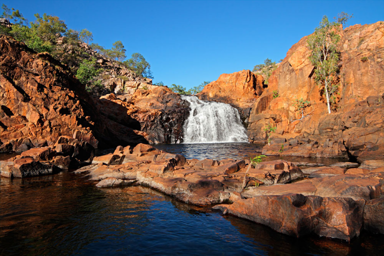 Explore the Wonders of Kakadu National Park: A Comprehensive Guide to Wildlife, Rock Art, and Culture