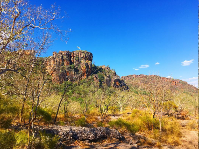 Darwin to Kakadu Road Trip Guide – Explore Australia’s Outback