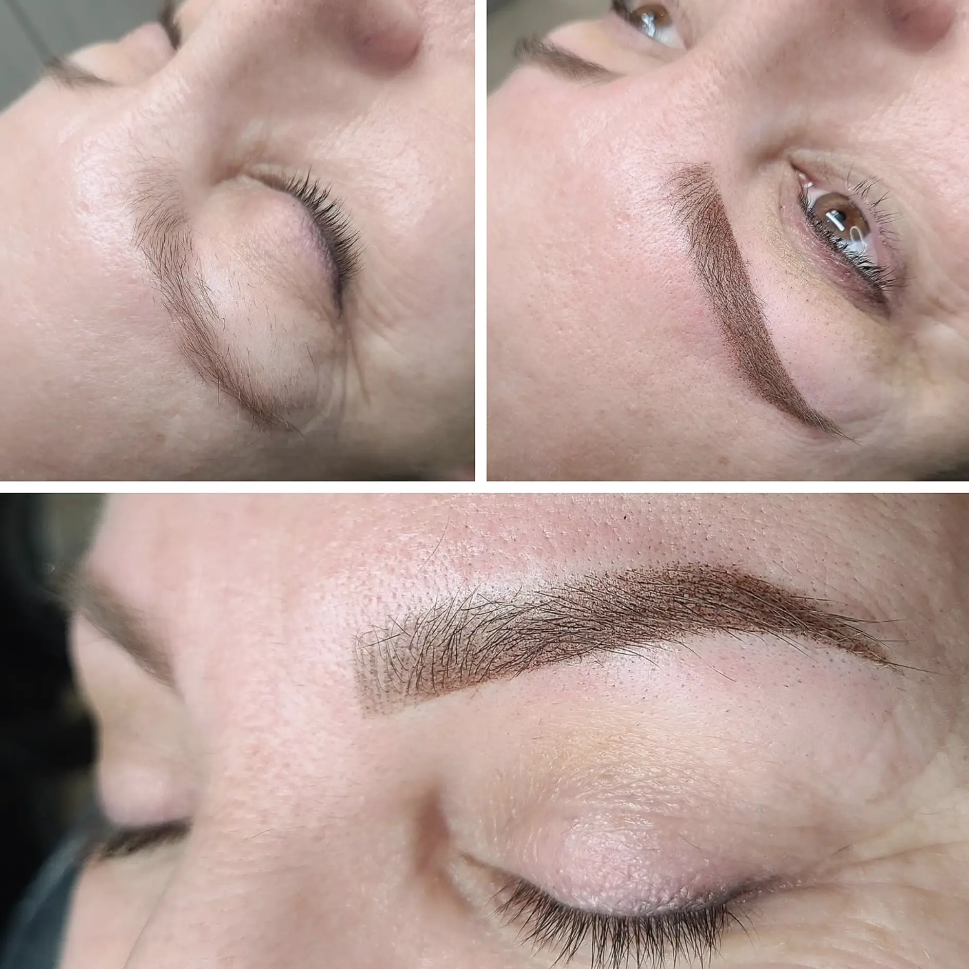 microblading vs powder brows